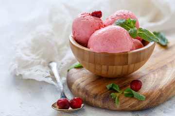 Bowl with artisanal cranberry ice cream.