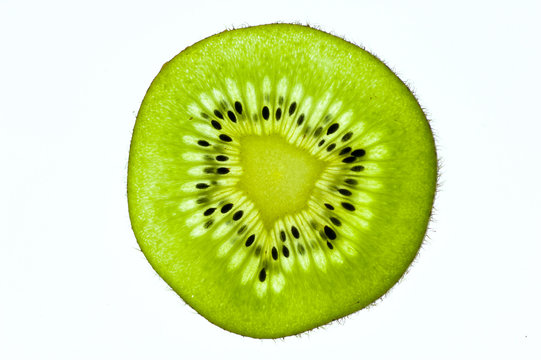 Kiwi section