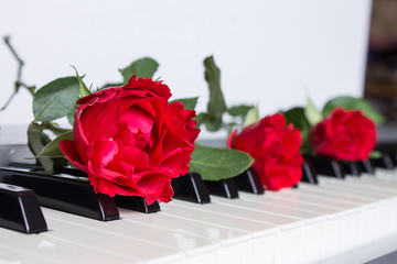 Three red roses on keyboard of the digital piano