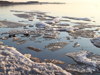 Spring in the city on the shore of the bay drift ice on the river