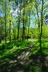 Beautiful spring landscape