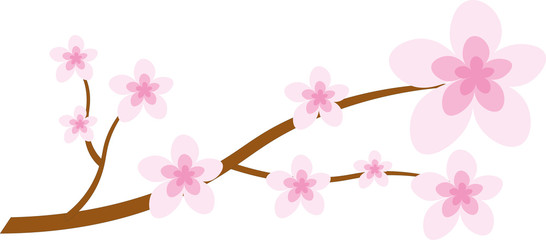 Obraz premium Cherry Blossom Branch
