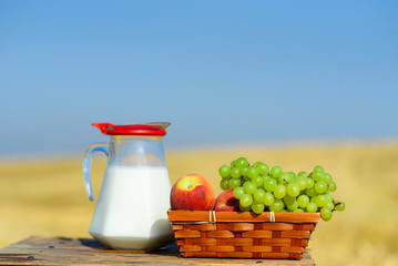 First fruits habikkurim in hebrew  and milk on wooden table. Symbols of jewish holiday - Shavuot. Grapes and peaches on basket outdoor on the wheat field and blue sky background.