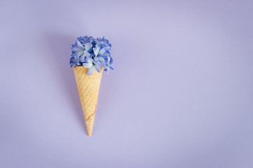 Ice cream horn or cone with purple hyacinth on a purple background. Happy Mother's Day, Women's Day or Birthday. Floral flat lay minimalism geometric patterns greeting card. Top view, place for text.