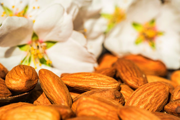 Almonds and white flowers on dark wooden surface