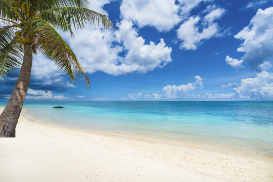 Tropical scenery with amazing beaches of Mauritius island © Serenity-H