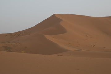 dunes of the Sahara desert