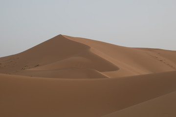 Fototapeta na wymiar dunes of the Sahara desert