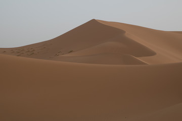Fototapeta na wymiar dunes of the Sahara desert