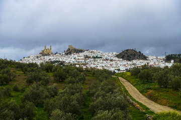 Fototapeta na wymiar nice white town Olvera with white houses, cathedral, mountains in Andalusia, Spain