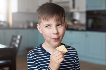 Pretty european boy with a cunning smile is eating biscuit during the lunch time.