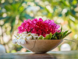 colorful flowers in a Bowl looking beautiful