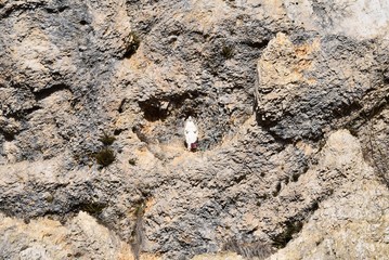 Passo della Crosetta - Madonnina