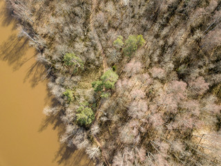 drone image. aerial view of forest river in spring. Gauja, Latvia