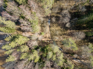 drone image. aerial view of forest from above trees with long shadows