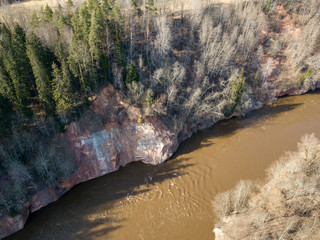 drone image. aerial view of forest river in spring. Gauja, Latvia
