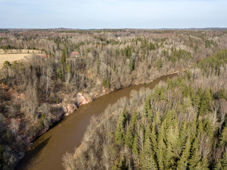drone image. aerial view of forest river in spring. Gauja, Latvia