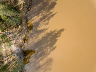 drone image. aerial view of forest river in spring. Gauja, Latvia
