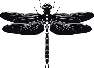 Black silhouette of dragonfly on white background. Vector illustration