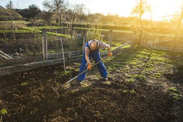 Farmer working in the garden with the help of a rake leveling plowed land, on a sunny day