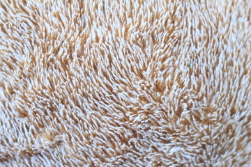 material with long pile as a background, texture of fabric