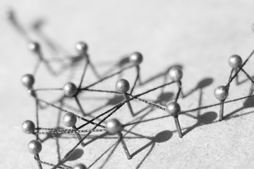 Fototapeta premium Concept of a social network with leader