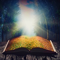 Way through the fairytale forest on the book