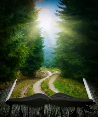 Zelfklevend Fotobehang Way through the forest on the book © Bashkatov