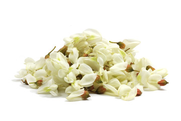 Flowers of black locust (Robinia pseudoacacia) isolated on white.