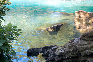 Detail of water flowing over colorful rocks surrounded by beautiful green nature