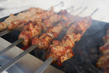 fried meat on a stick. shish kebab deliciously cooked on charcoal. we cook on fire