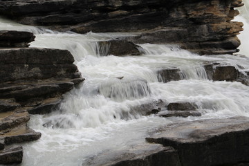 Upper Cascades In The Athabasca Falls, Jasper National Park, Alberta