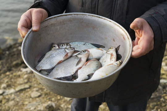 Fisherman holds a bowl with breams
