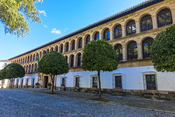 Fototapeta na wymiar nice building facade in Ronda, Spain, Andalusia