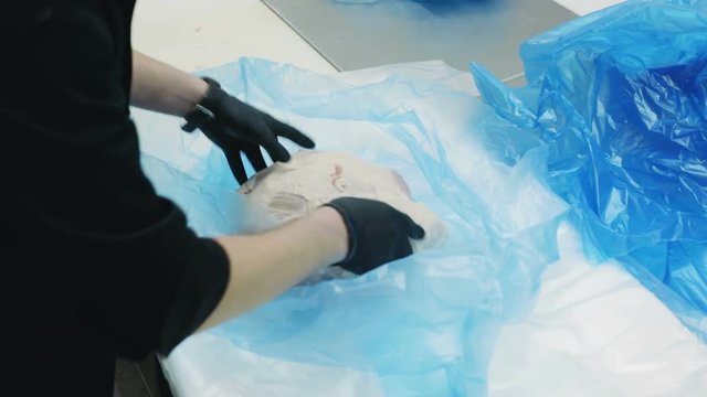 Closeup view of man hands in gloves packing fresh raw meat into plastic bag and crates for storage pork in the refrigerator before selling chopped pig stored factory worker butcher industry equipment