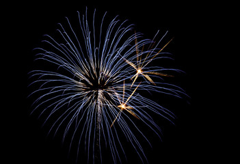 Fourth of July Fireworks-blue