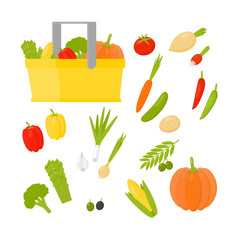 Tasty organic vegetables isolated on white background