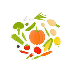Tasty organic vegetables isolated on white background
