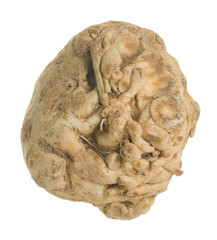 Knob selery, Apium graveolens isolated on white background