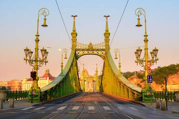 Liberty bridge in Budapest, morning