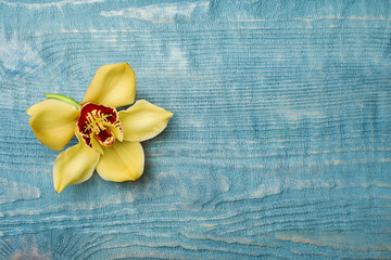 Beautiful vanilla flower on wooden background