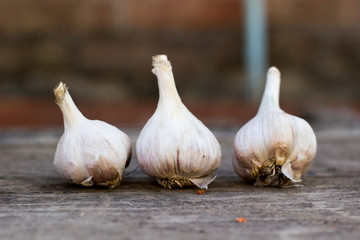 garlic on a wooden board