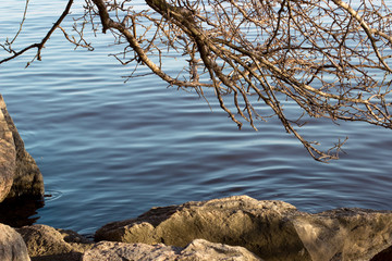 nature, stones, river