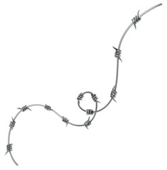 Barbed Wire Segment