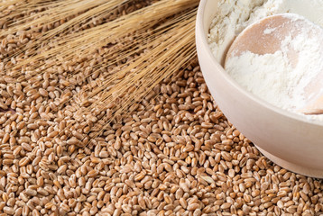 Flour in a wooden bowl, wheat against a background of wheat grains.