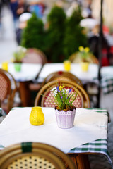 Outdoor cafe on sunny spring day with natural flowers in pot