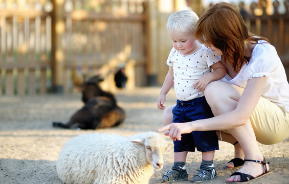 Toddler boy and his mother looking at sheep