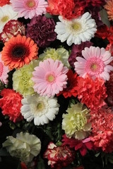 Colorful gerber bouquet