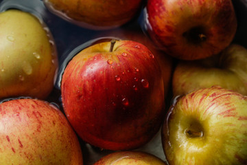 Wet apples. This photograph was taken in Matinhos, Paraná, Brasil. April 8, 2018.