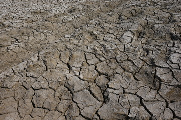 Climate warming dry chapped land